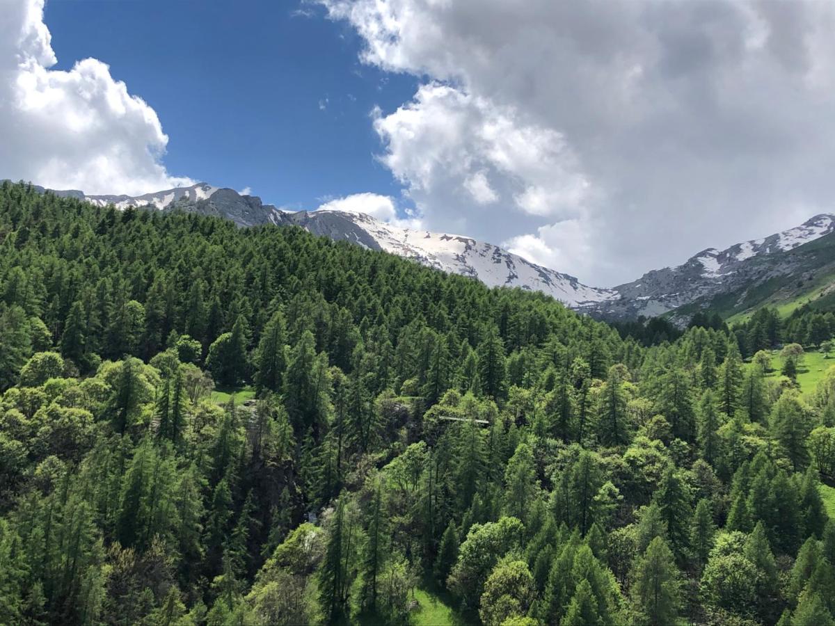 Foux D'Allos - Appartement Charmant Et Fonctionnel 외부 사진